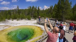 Yellowstone, morning glory