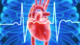 Na zamyslenie: Čomu všetkému je na vine homocysteín?