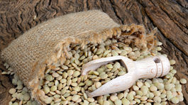 Šošovica - nízkotučná lentilka plná béčka 