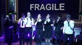 Fragile
