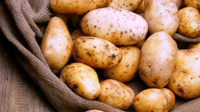zemiaky, úroda