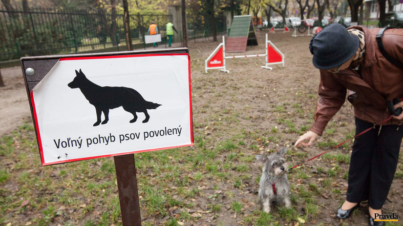 psi park polna ulica, pes, venčenie, detské...