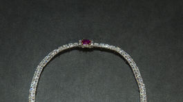 Cartier - výstava Grand Palais 