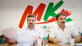 Gyula Bárdos