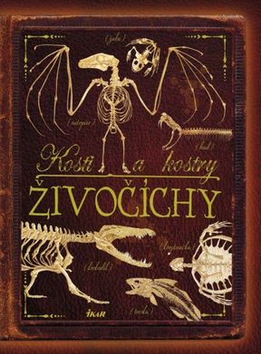 Kosti a kostry - živočíchy