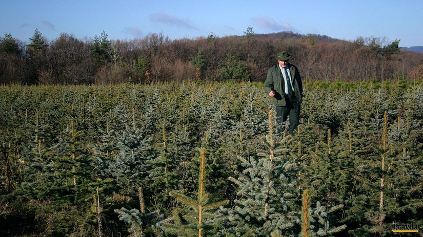 Peter Jenis počas prechádzky v lesnej škôlke.
