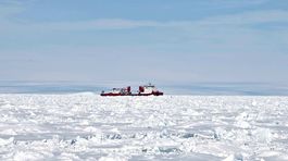 antarktída, Akademik Šokaľskij, ľadoborec