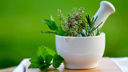 Nielen uspáva. Medovka zlepšuje pamäť aj mozog