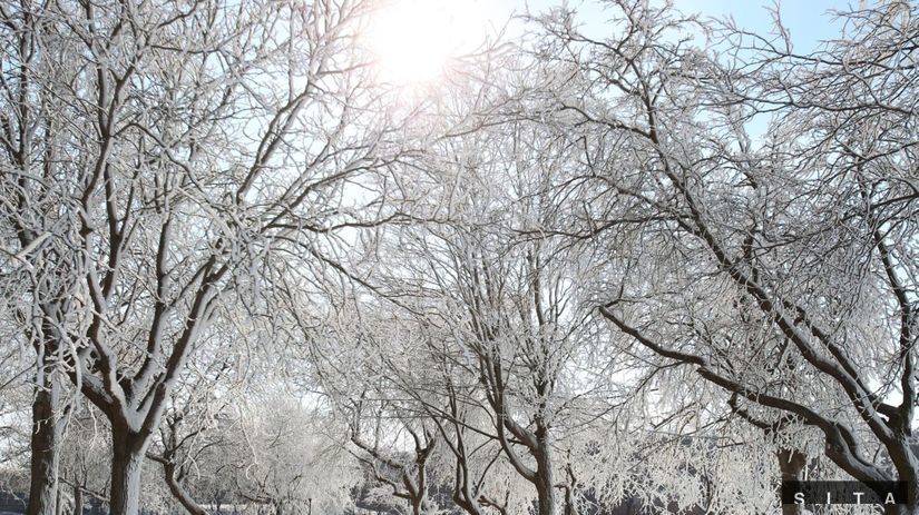 Zimná krajina v okolí.