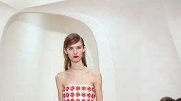 Dior Couture - jar-leto 2014 - Paríž