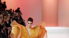 Stephane Rolland Couture - jar-leto 2014 - Paríž.