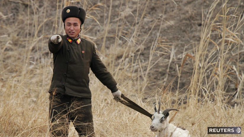 vojak, koza, KĽDR, Severná Kórea