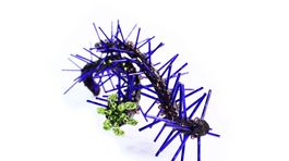 9- Objekt Mea Libido- Naplavene drevo z Indie  Sklo