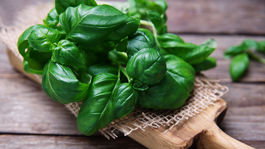 Protizápalová bazalka: Hodí sa do všetkých receptov! 