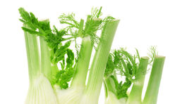 Fenikel - chutí ako kôpor, vonia ako sladké drievko