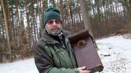 Obloha rýchlo pustne. Strácame lastovičky aj orly