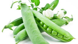 S hráškom schudnete a vyčistíte si pleť 