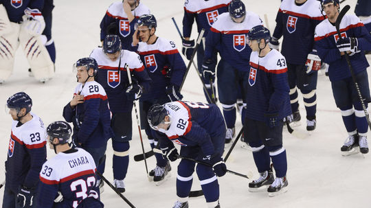 slovensko, usa, hokejisti, reprezentanti,...