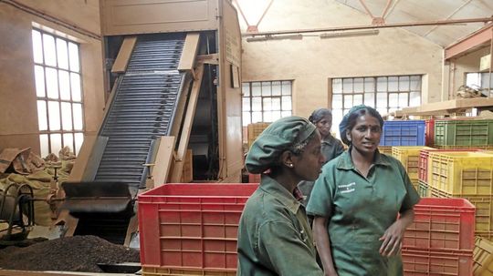 Továreň na výrobu čaju.