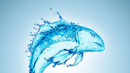 Milý, citlivý a hlavne dobrý milenec! Muž v znamení ryby