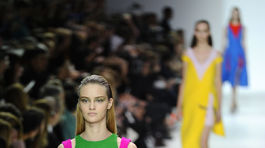 Prehliadka Dior - jeseň-zima 2014 - Paríž.