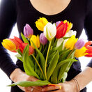 MDŽ - tulipány - kvetiny