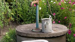 Ochranári podali trestné oznámenie za znečistenie vôd Žitného ostrova atrazínom