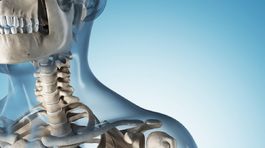 Otestujte sa: tu sú jednoduché otázky z biológie človeka