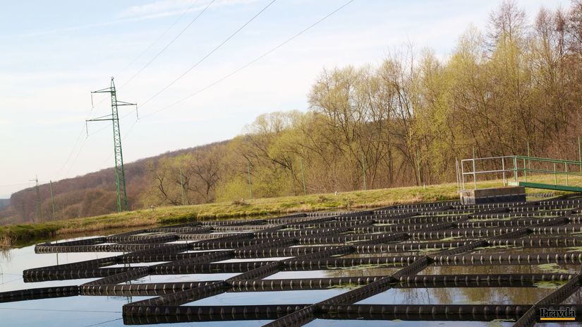 Vodu v Skýcove čistia v špeciálnych bazénoch...