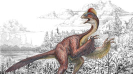 Dinosaurus Anzu wyliei bol pekelné kura