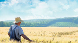 Sucho výrazne zasiahne nemeckých poľnohospodárov