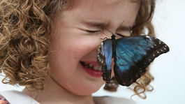 Liptovská motýlia záhrada s 3 000 motýľmi predstaví ich život