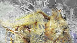 Daniel Fischer kóduje do obrazov rébusy