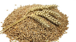 Slovenskí roľníci sú skeptickí, ich produkcia má klesnúť