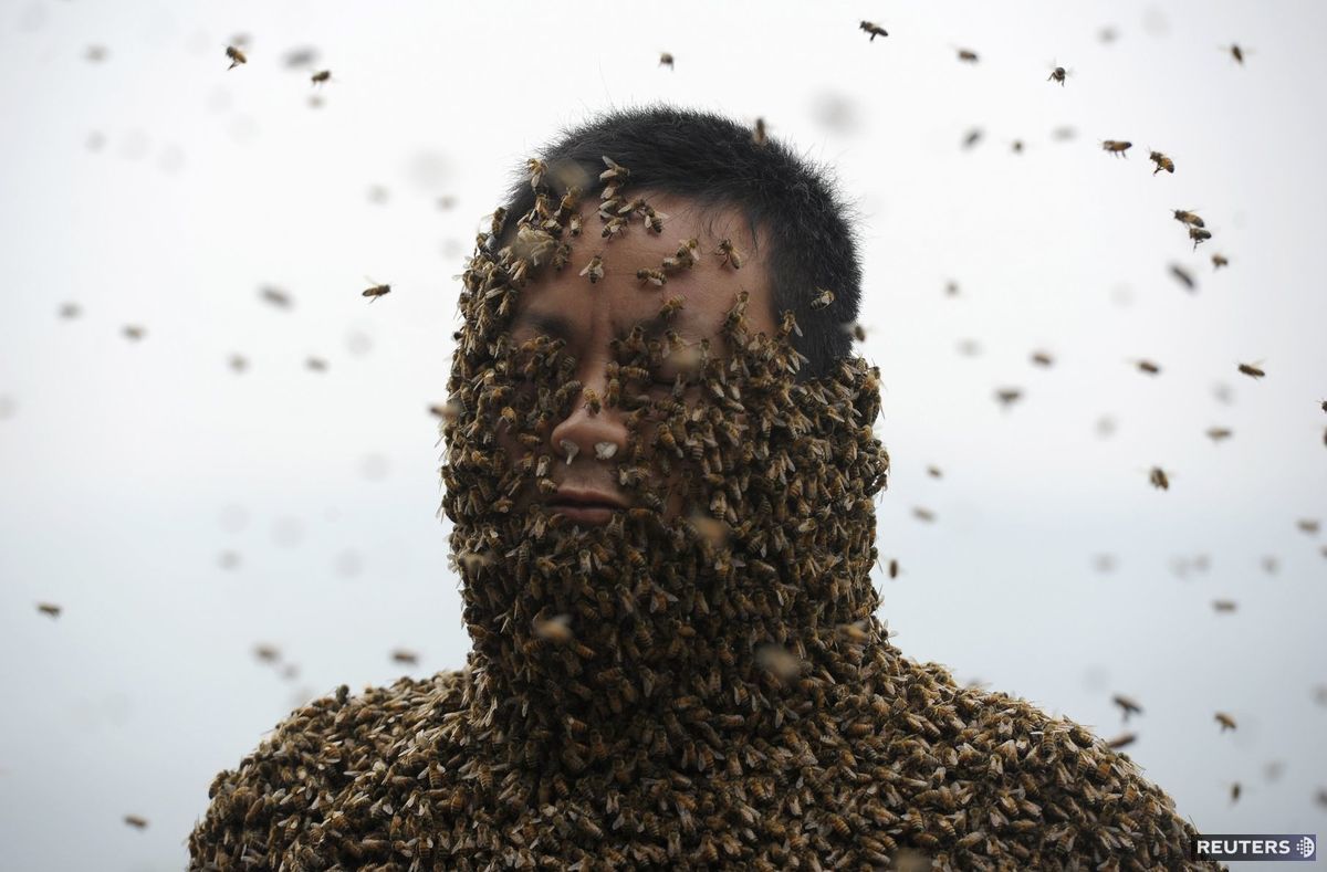 Čína, včely, včelár
