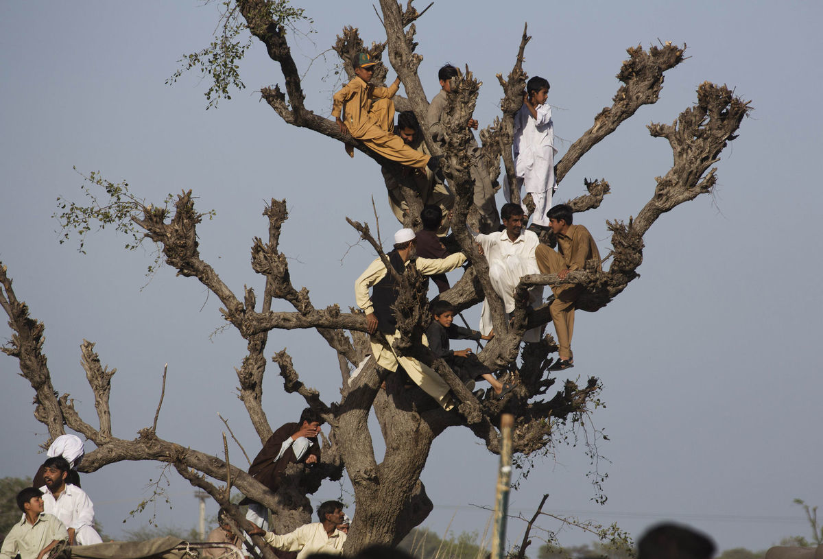 Pakistan, strom, diváci