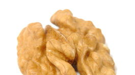 Mozog človeka je najzložitejšia štruktúra vesmíru - otestujte si ho!