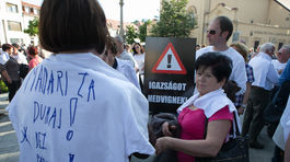 protest Hedviga Malinová