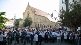 protest, Hedviga Malinová
