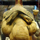 múmia, sarkofág, Egypt, faraón