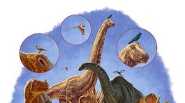 Prečo vtáky deklasovali dinosaury?