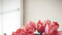 Chceli cestovať, no manželka oslepla. Teraz chodia tisíce turistov k nim domov