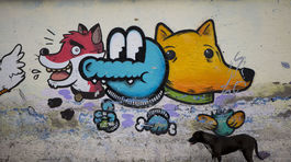 KVÍZ: Poznáte národné zvieratá krajín?