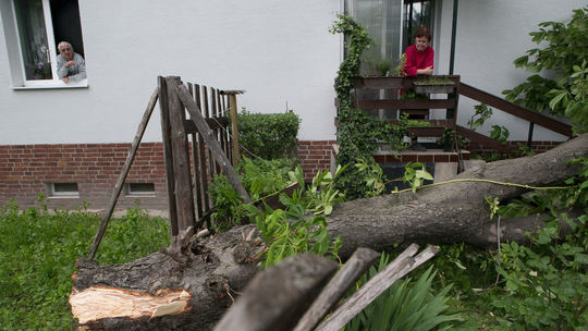Konáre padajúceho stromu v Snine zasiahli 15-ročného chlapca 
