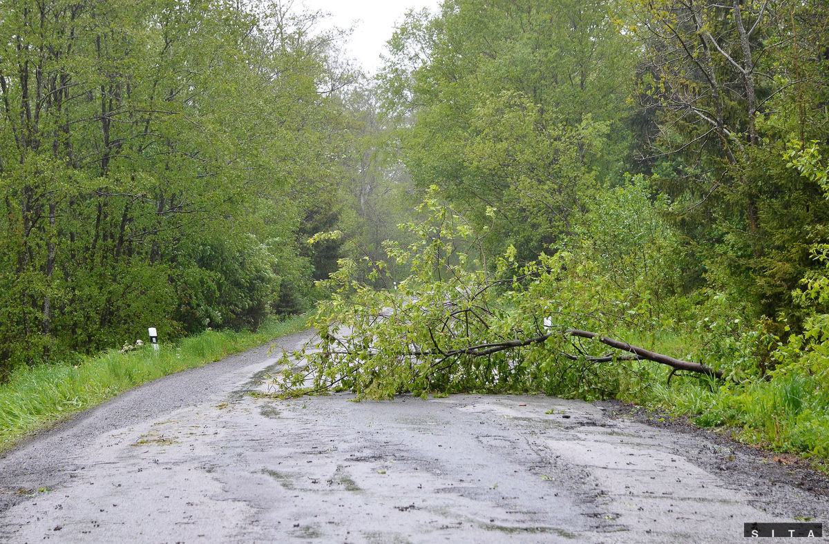 Silný vietor vo Vysokých Tatrách vyvracal...