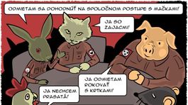 Gašparec, 27.5.2014