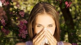 Alergici pozor! Vo vzduchu sa kumulujú vysoké koncentrácie peľu