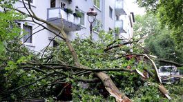 Popadané stromy v Gelsenkirchene