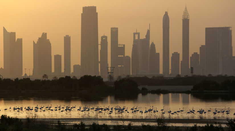 Plameniaky a vežiaky v Dubaji.