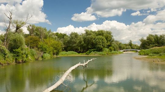 Národný park Donau-Auen.